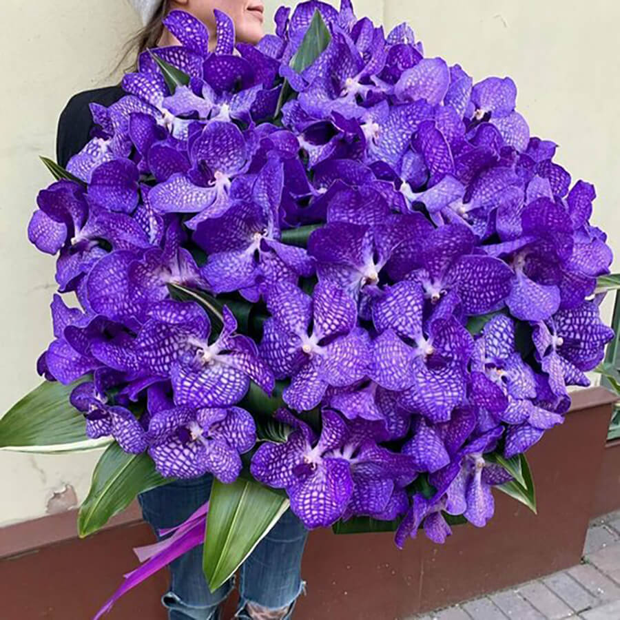 Букет из 81 фиолетовой орхидеи и рускуса