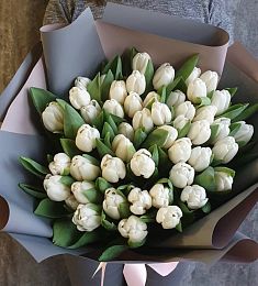 49 белых тюльпанов в стильном оформлении
