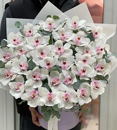 Композиция  "Robert" из 35 орхидей и эвкалипта