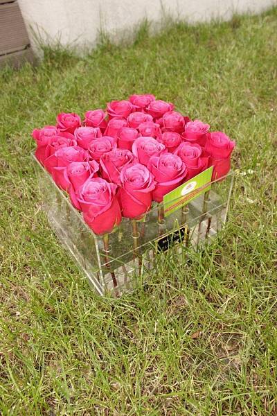 Голландские розы в стеклянной коробке maison des FLEURS 4