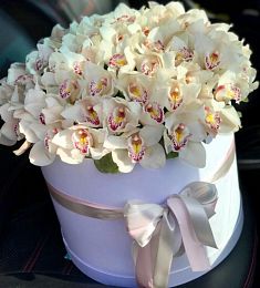 35 белых орхидей в шляпной коробке