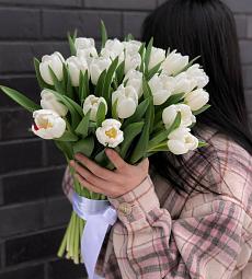 25 белых тюльпан в оформлении