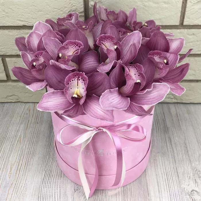 15 орхидей в коробке 