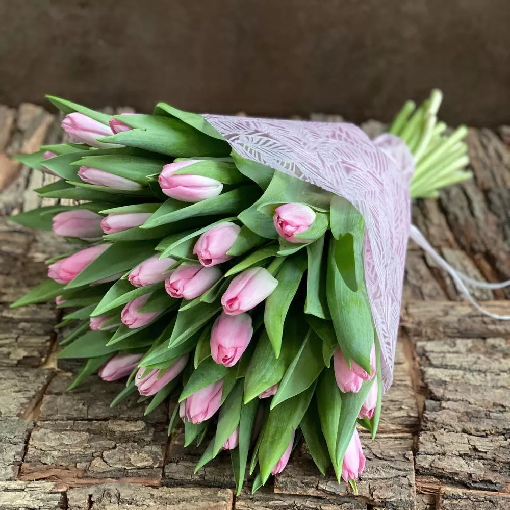 Букет "Зелёная весна" из 35 тюльпанов