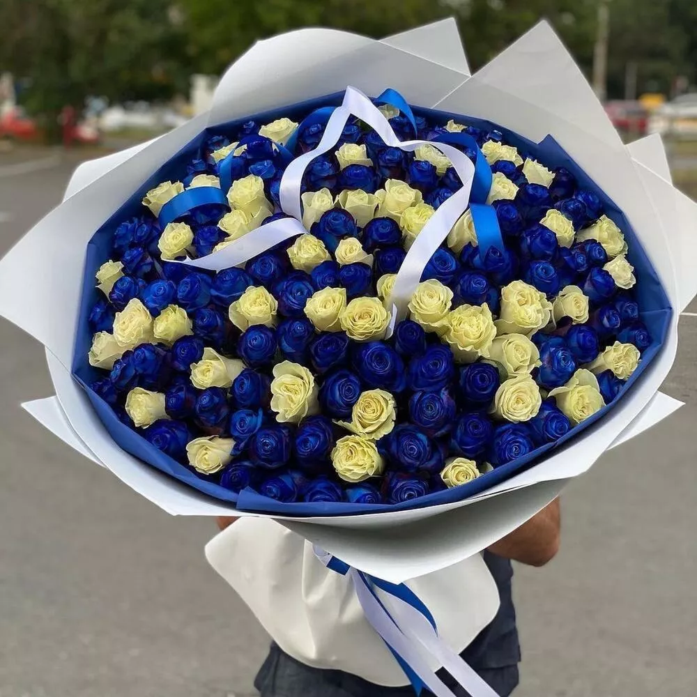 Большой букет из 101 синей и белой розы